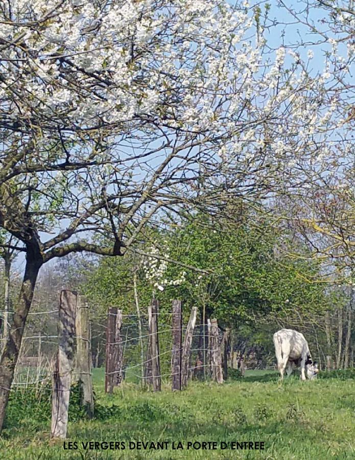 La Cense Pierrot Des Princes Saint-Amand-les-Eaux Kültér fotó